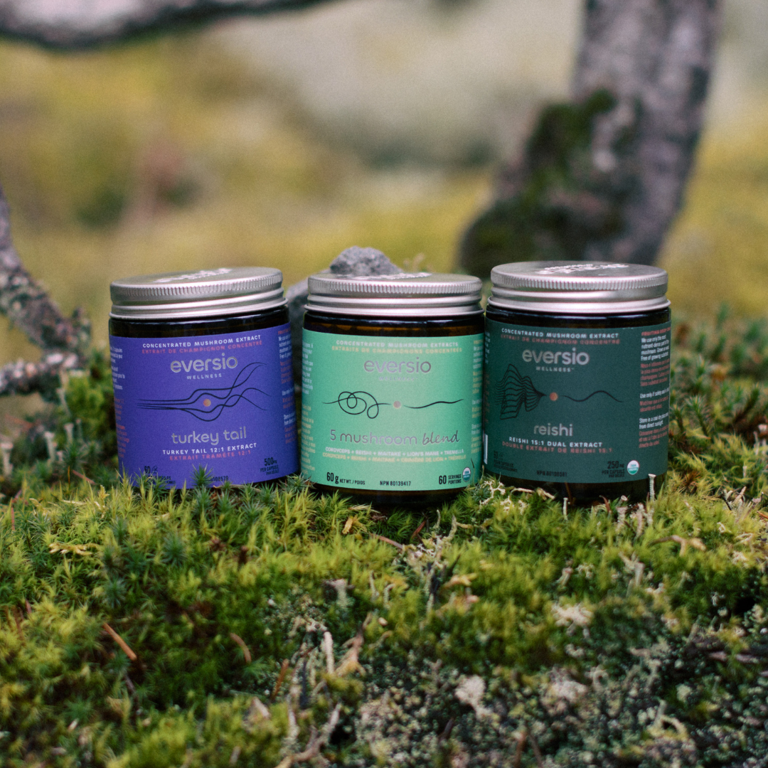 The Rejuvenate Set - A Gift of Mushroom Wellness