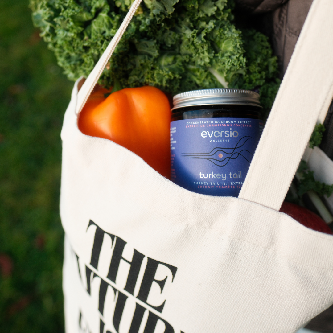 Turkey Tail (Defend Now) - Organic Turkey Tail 12:1 Extract Capsules