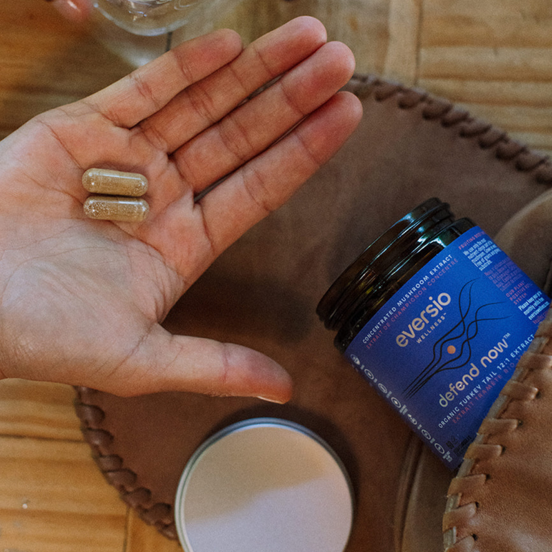 best turkey tail mushroom supplement
